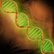 Mutacja DNA 2.jpg